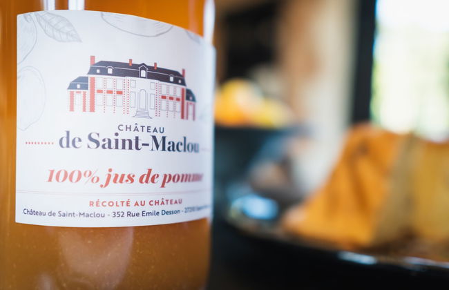 Château de Saint-Maclou - Photo 15