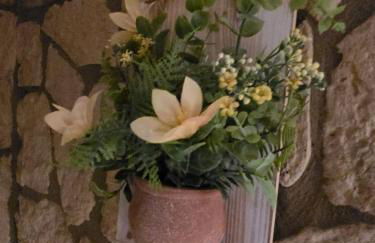 Tenuta Oliva - Foto 77