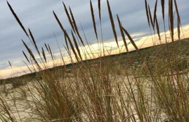 Appartement cosy village de L'Herbe - Foto 20