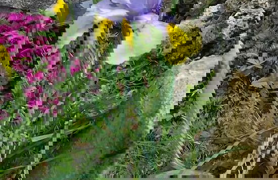 Agriturismo La Marianella - Foto 72