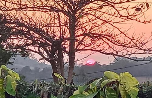 Querência MaeDa - Photo 10