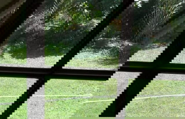 casa olmue con piscina - Foto 7