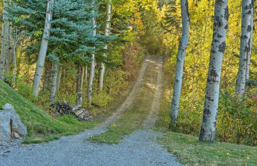 Irwin A-Frame Cabin with Deck and Mountain Views! - Foto 25