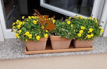 Apartmani Tuheljske - Foto 9