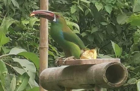 Cabañas arabi - Foto 14