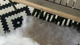 La Casita Nazaré - private pool - Foto 4