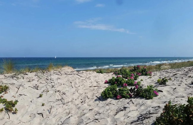4 Star Holiday Home in Frederiksvaerk - Foto 32