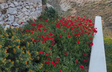 GRΕΛΙΑ ΗΟΜΕ - Foto 48