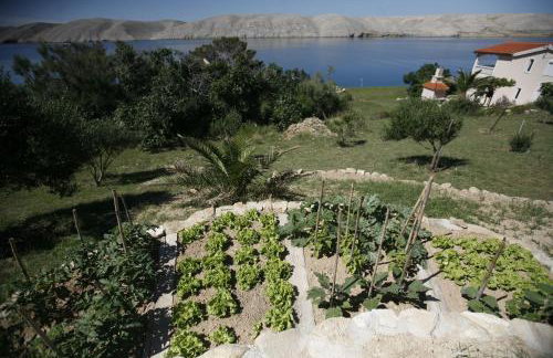 Apartments Roza - Foto 26