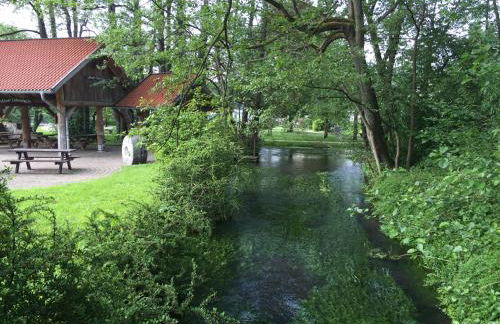 Waldläufer Brilon - Foto 46