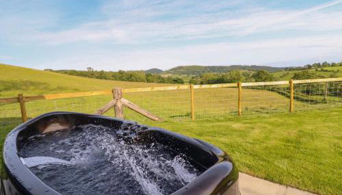 Defaid Cymreig - Foto 2