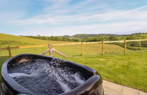 Defaid Cymreig - Foto 2