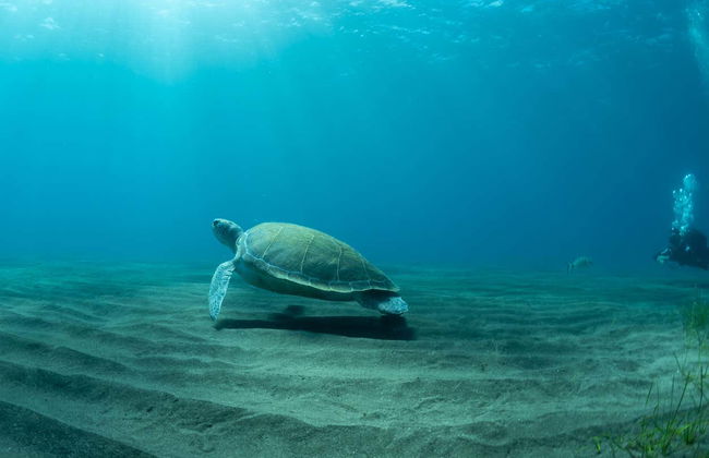 Batismo de mergulho em Abades - Foto 5