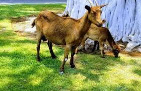 Ohana Beach Retreat at the Surf and Racquet Club - Foto 53