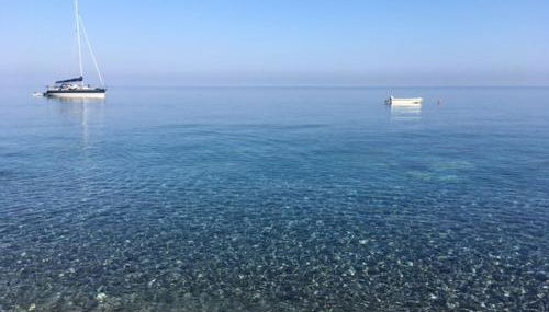 Piccola Bouganville - Foto 4