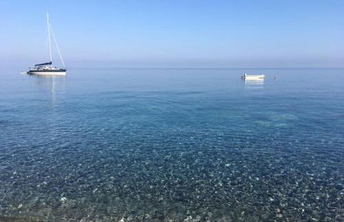 Piccola Bouganville - Foto 4