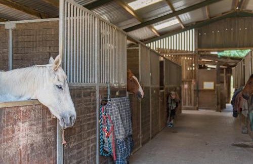 Shepherd's Cottage - Photo 18