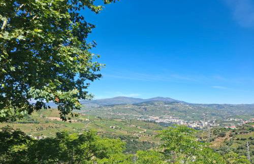 Quinta do Valdalágea - Foto 6