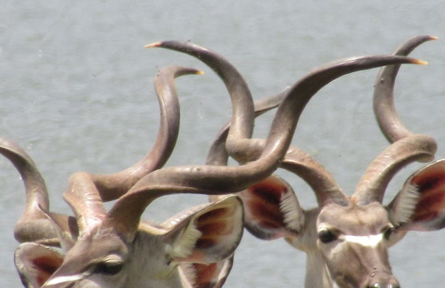 Destiny Blo Inn - Photo 10