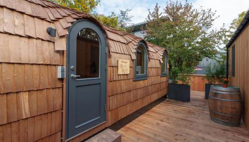 Tortuga - einfach anders! - Foto 2