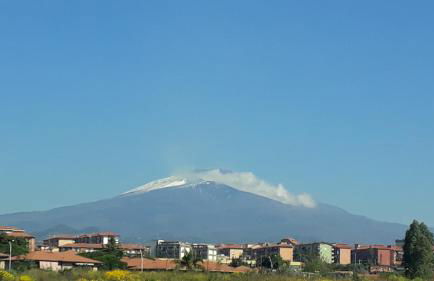 Carrubo - Giardino in città - Foto 26