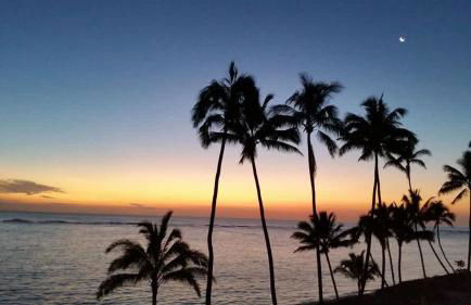 Luxurious Beachfront Condo - Foto 62