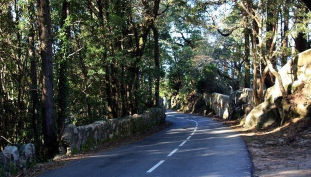 Official Guided Lisbon, Sintra & Cascais Tour - Photo 5
