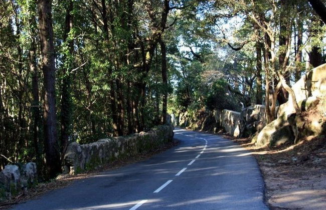 Sintra Half Day Private Tour from Lisbon - Photo 6