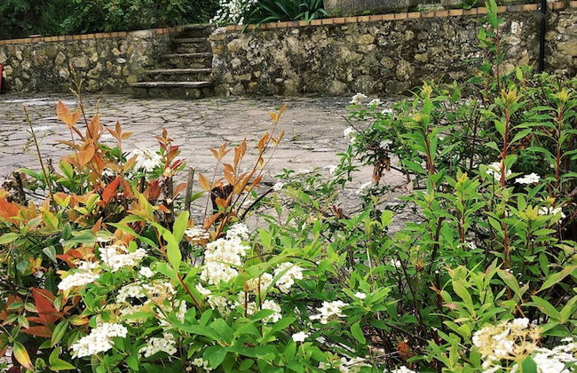 Mulino di Quercegrossa - Photo 76