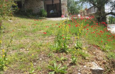 Old Olive house - Foto 37