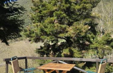 El Nial de Los Pinos - Photo 13