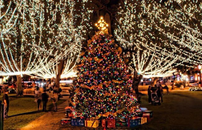 Ocean Hibiscus Oceanfront Resort - Foto 25