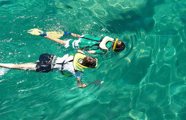 Snorkeling dans le Parc Naturel de l'Arrábida - Photo 3