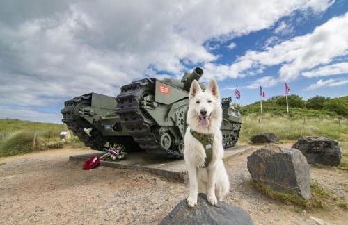 GITE A THEME D-DAY - situé à 15mn d'Omaha Beach - Animaux OK - Terrain clos - Aucuns voisins - WIFI - Foto 13