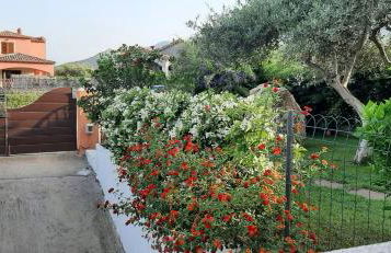 VILLA IBISCO - Foto 20