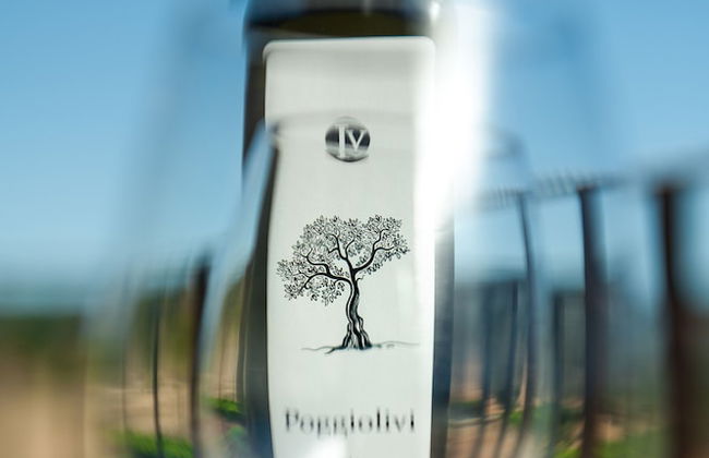 Poggiolivi Agriturismo Bio in Maremma - Photo 40