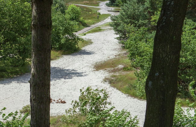 Well Furnished Chalet with Garden near Brunssummerheide - Photo 15