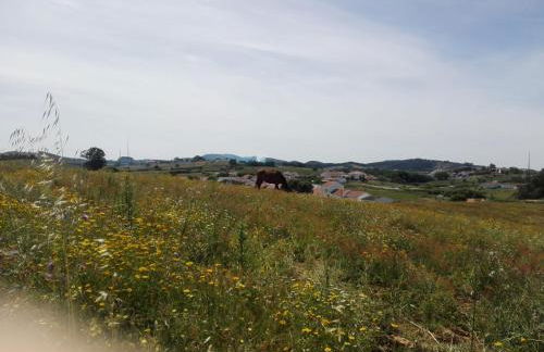Casa do Chaparral campo e praia - Foto 43
