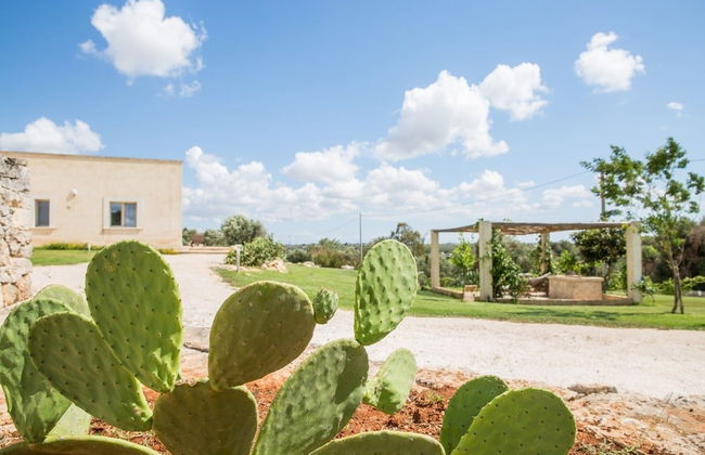 Azienda Agricola Spirdo - Foto 52