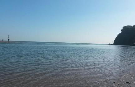 Dolphin Cottage 50m from Shaldon Beach! - Foto 15