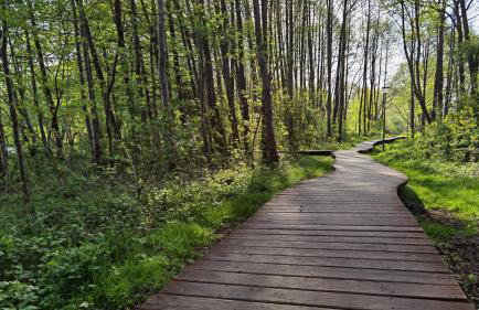 Trzy Szczęścia - Foto 11