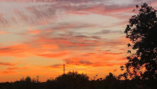 Monte da Rochela - Foto 3