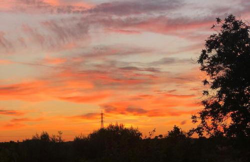 Monte da Rochela - Foto 3