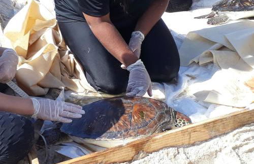 Casa Vista Panorâmica Itaipu - Foto 70