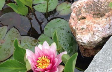 Ferienwohnung Haus Angela - Foto 21