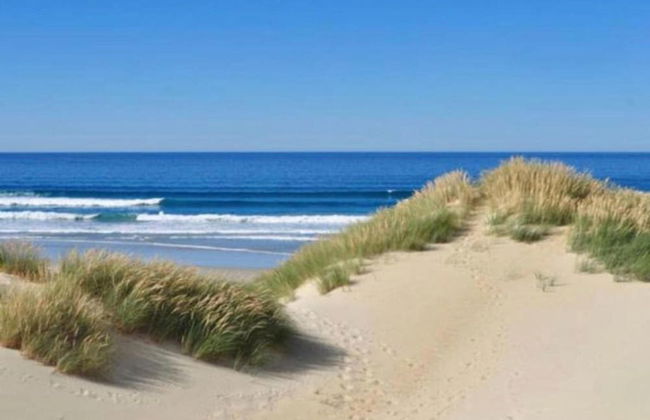 Sunny Escape by the Shore - Photo 38