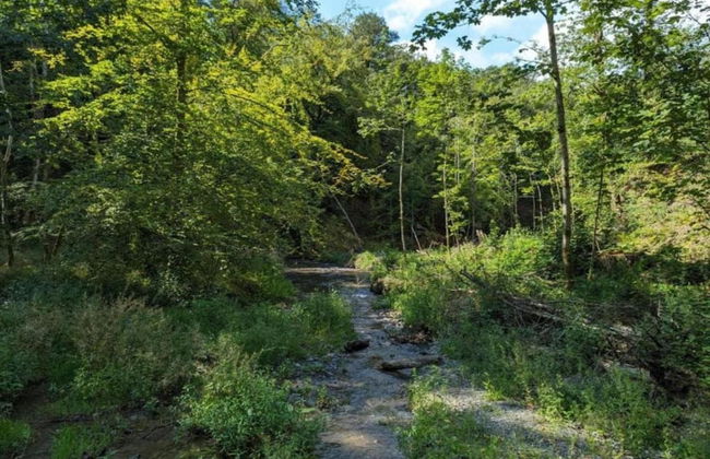 Nature Escape in Nafraiture - Foto 34