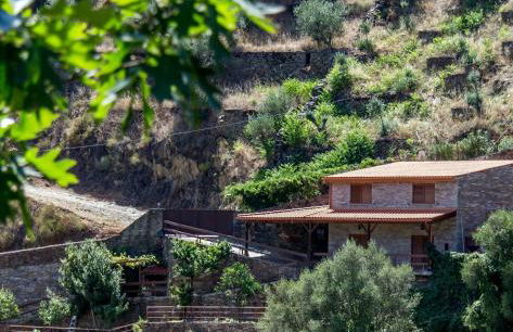 Casa da Encosta Douro Valley - Photo 33