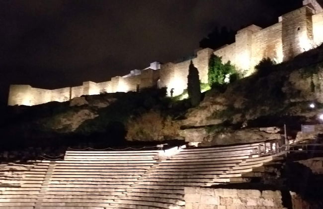 Apartamentos AS Málaga Centro Histórico - Photo 23