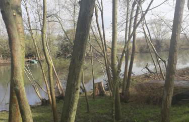 Tenuta Crescentini-ValleMura ,appartamenti con entrata indipendente - Foto 59